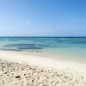 Meet your Posher, Marion